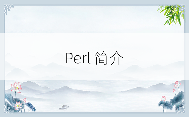 Perl 简介