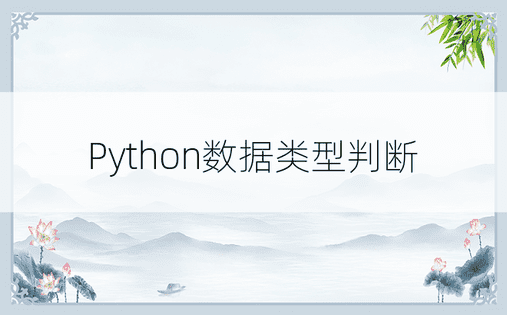 Python数据类型判断