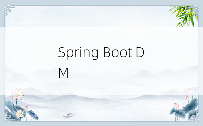 Spring Boot DM