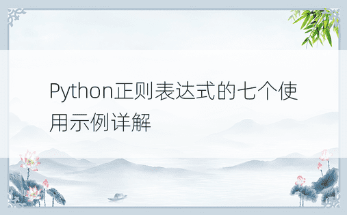Python正则表达式的七个使用示例详解