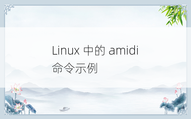 Linux 中的 amidi 命令示例