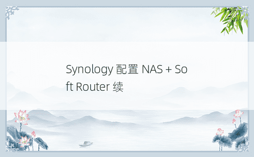 Synology 配置 NAS + Soft Router 续
