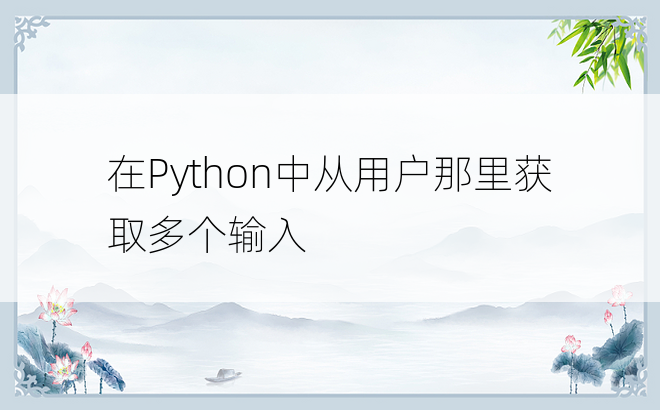 在Python中从用户那里获取多个输入