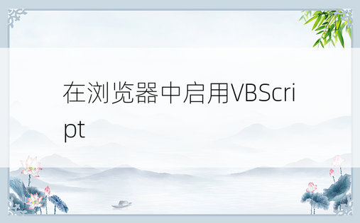 在浏览器中启用VBScript