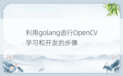 利用golang进行OpenCV学习和开发的步骤
