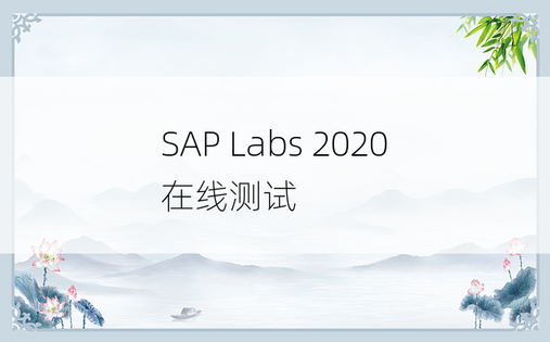 SAP Labs 2020 在线测试