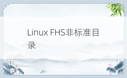 Linux FHS非标准目录