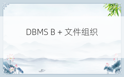 DBMS B + 文件组织 