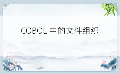 COBOL 中的文件组织 