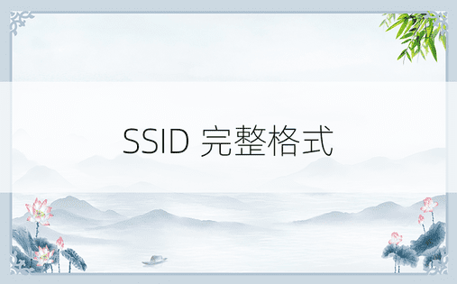 SSID 完整格式 