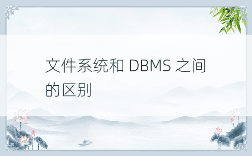 文件系统和 DBMS 之间的区别 