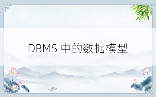 DBMS 中的数据模型