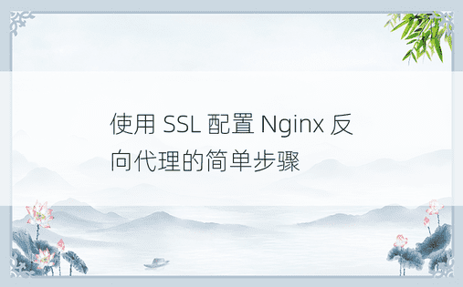 使用 SSL 配置 Nginx 反向代理的简单步骤