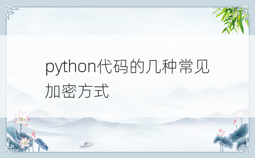 python代码的几种常见加密方式