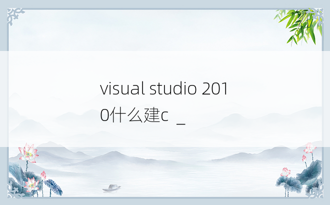 visual studio 2010什么建c  _