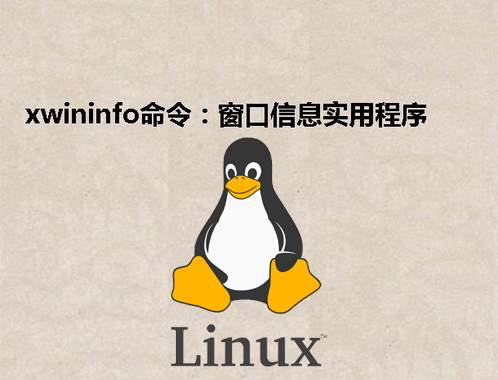[Linux] xwininfo命令：窗口信息实用程序