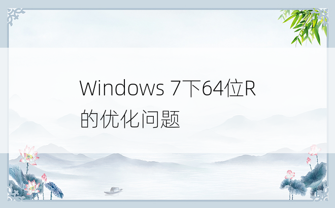 Windows 7下64位R的优化问题