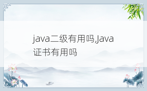 java二级有用吗,Java证书有用吗