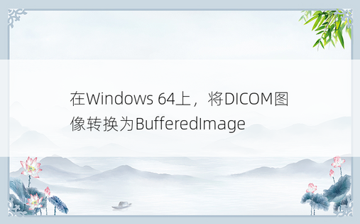 在Windows 64上，将DICOM图像转换为BufferedImage