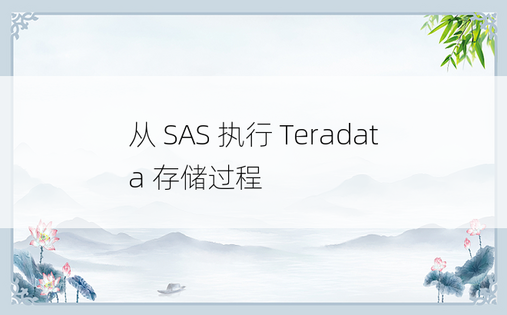 从 SAS 执行 Teradata 存储过程 