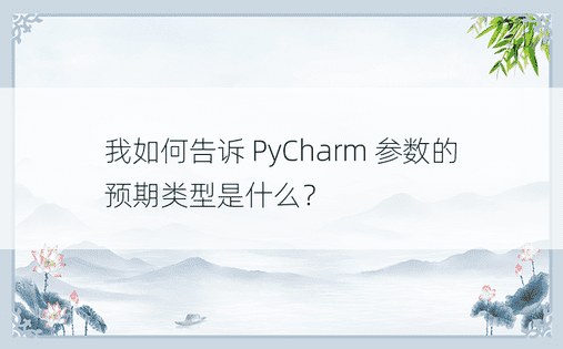 我如何告诉 PyCharm 参数的预期类型是什么？ 