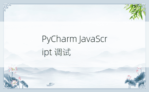 PyCharm JavaScript 调试