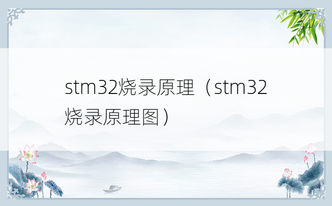 stm32烧录原理（stm32烧录原理图）