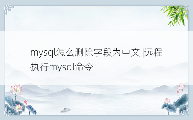 mysql怎么删除字段为中文 |远程执行mysql命令