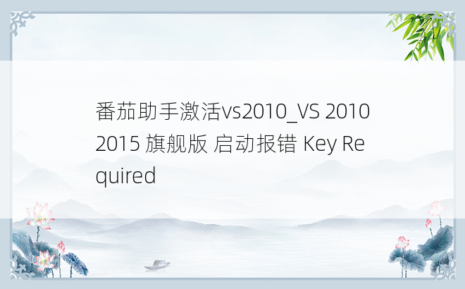 番茄助手激活vs2010_VS 20102015 旗舰版 启动报错 Key Required