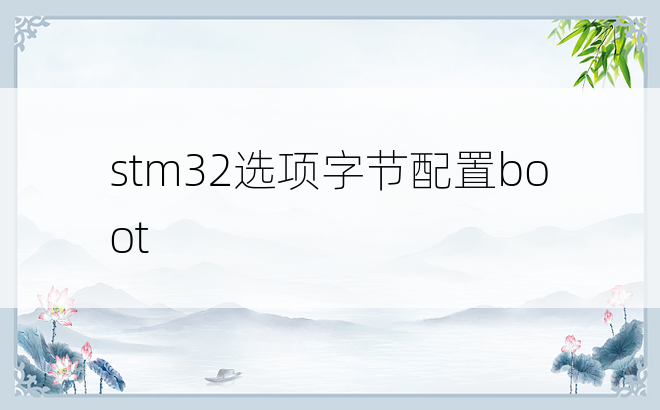 stm32选项字节配置boot