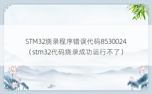 STM32烧录程序错误代码8530024（stm32代码烧录成功运行不了）