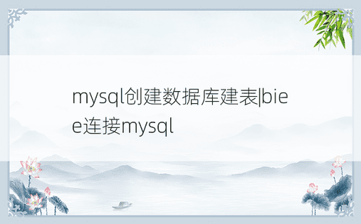 mysql创建数据库建表|biee连接mysql