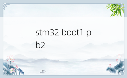 stm32 boot1 pb2