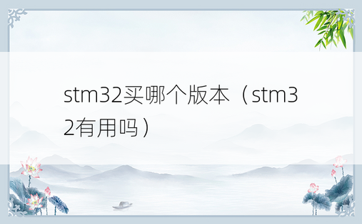 stm32买哪个版本（stm32有用吗）