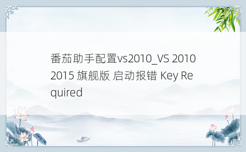 番茄助手配置vs2010_VS 20102015 旗舰版 启动报错 Key Required
