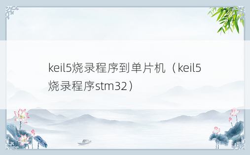 keil5烧录程序到单片机（keil5烧录程序stm32）
