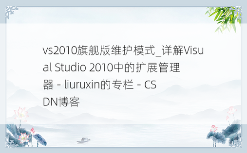 vs2010旗舰版维护模式_详解Visual Studio 2010中的扩展管理器 - liuruxin的专栏 - CSDN博客