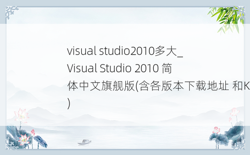 visual studio2010多大_Visual Studio 2010 简体中文旗舰版(含各版本下载地址 和KEY)