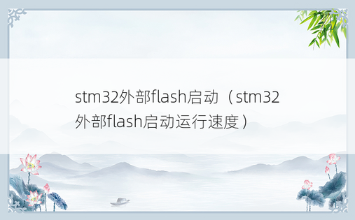 stm32外部flash启动（stm32外部flash启动运行速度）