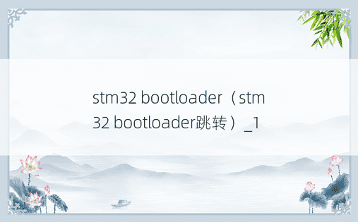 stm32 bootloader（stm32 bootloader跳转）_1
