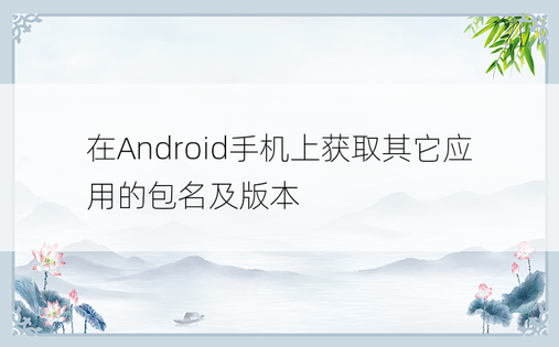 在Android手机上获取其它应用的包名及版本