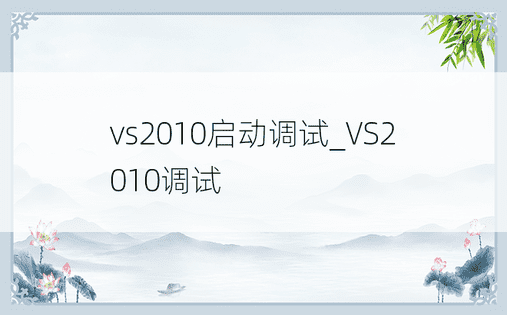vs2010启动调试_VS2010调试