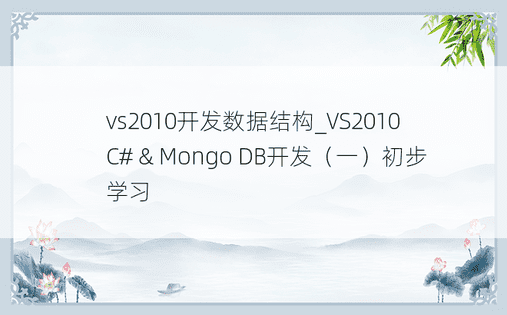 vs2010开发数据结构_VS2010 C# & Mongo DB开发（一）初步学习