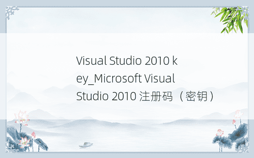 Visual Studio 2010 key_Microsoft Visual Studio 2010 注册码（密钥）
