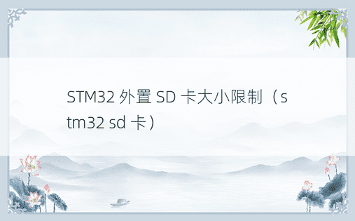 STM32 外置 SD 卡大小限制（stm32 sd 卡）