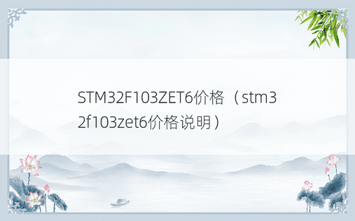 STM32F103ZET6价格（stm32f103zet6价格说明）