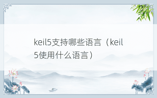 keil5支持哪些语言（keil5使用什么语言）