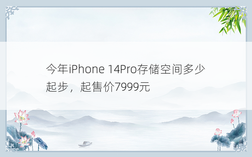 今年iPhone 14Pro存储空间多少起步，起售价7999元