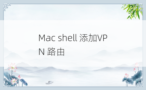 Mac shell 添加VPN 路由