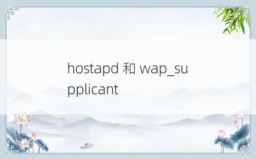 hostapd 和 wap_supplicant